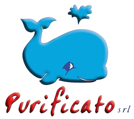 292057257_540744097576977_8258803930692489341_n